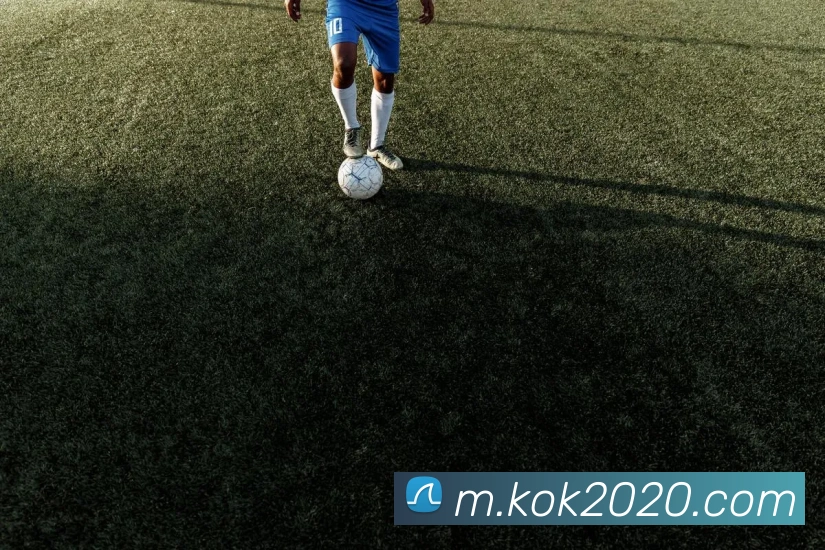 kokAPP 封面图